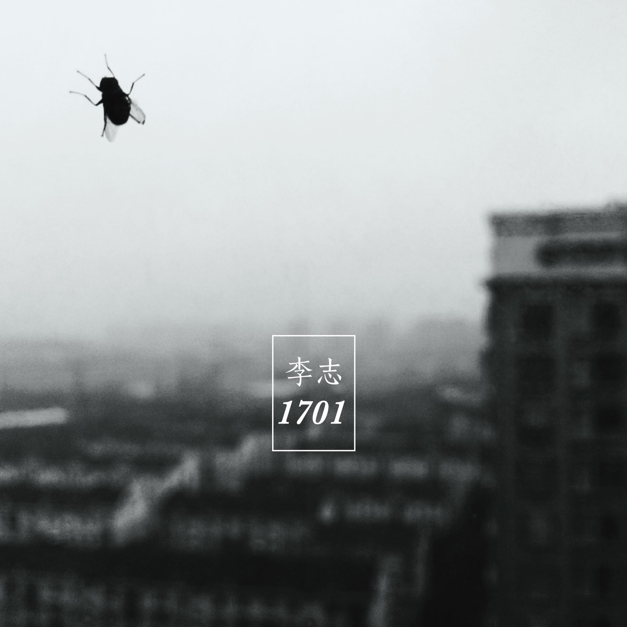 1701_定西 的音乐封面